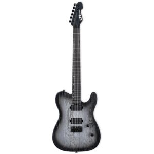 ESP LTD TE-1000 Silver Blast elektrische gitaar