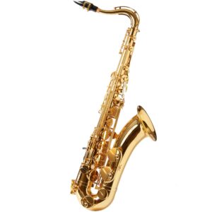 Yamaha YTS-PLU1II02 tenoraxofoon