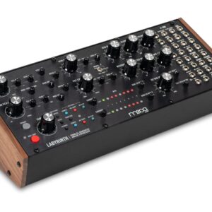 Moog Labyrinth
