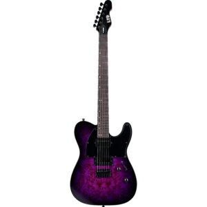 ESP LTD TE-200DX Purple Burst elektrische gitaar
